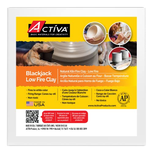 ACTIVA Blackjack Low Fire Clay, 5 pounds White