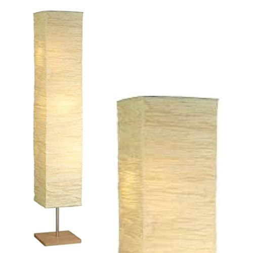 Adesso Transitional Lamp