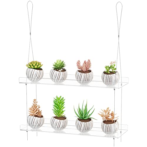 Adjustable Acrylic Hanging Plant Shelves