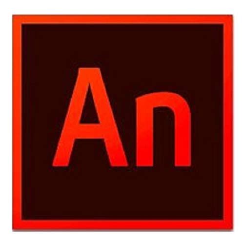 Adobe Animate | Animation Software | 12-month Subscription