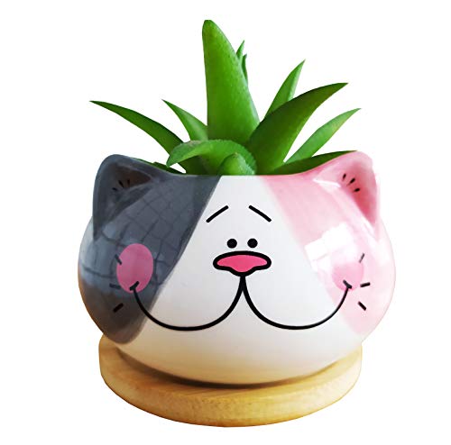 Adorable Ceramic Cat Succulent Plant Pots