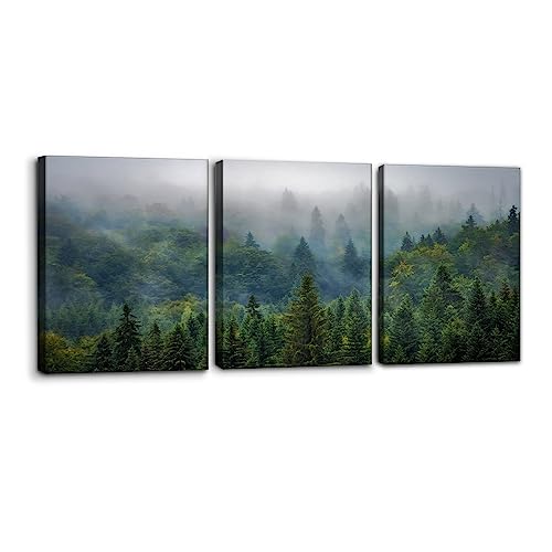 Aerial View of Green Forest Canvas Wall Art Print Set