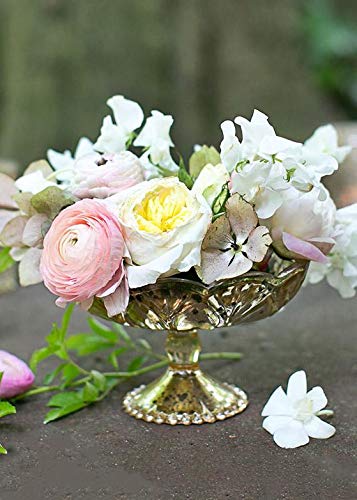Afloral Gold Mercury Glass Carraway Flower Vase