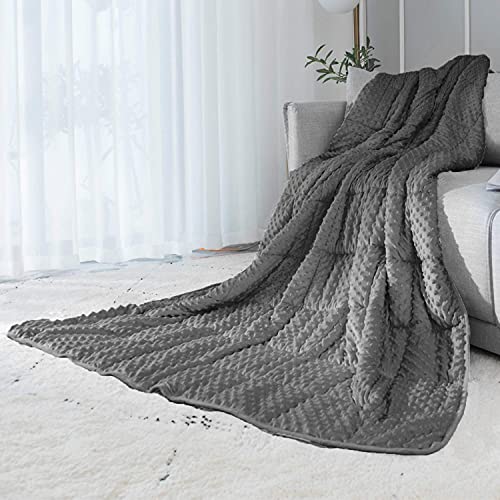 ALANSMA Reversible Weighted Blanket
