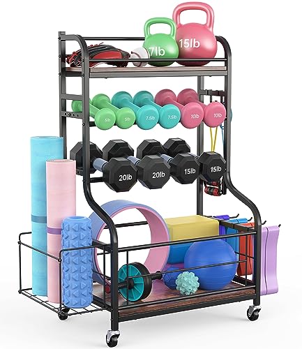 All-in-One Weight Rack for Home Gym Storage