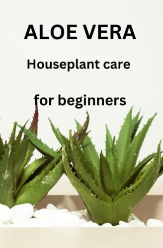 ALOE VERA Houseplant care for beginners