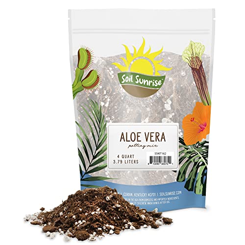 Aloe Vera Potting Soil Mix