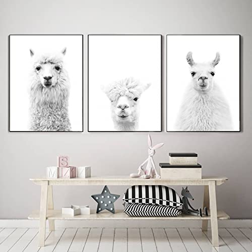 Alpaca Canvas Wall Art - Funny Llama Poster