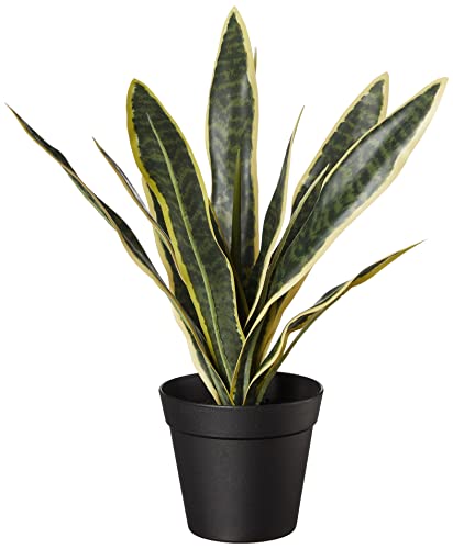 Amazon Basics Fake Snake Plant with Planter Pot