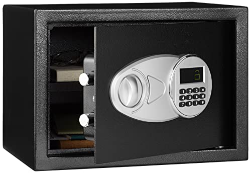 Amazon Basics Steel Security Safe and Lock Box