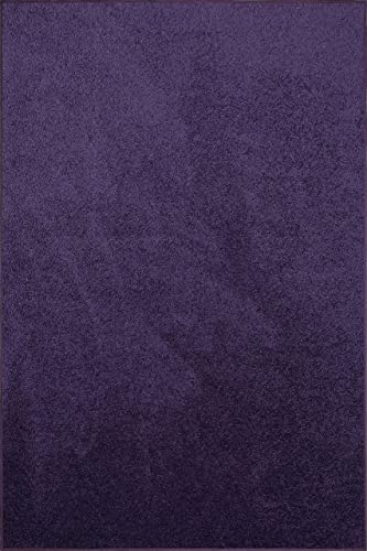 Ambiant Pet Friendly Solid Color Area Rugs Purple - 2' x 3'