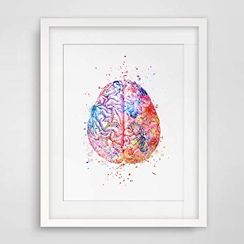 Anatomical Brain Wall Art Decor