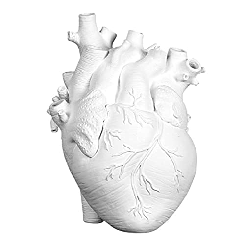 Anatomical Heart Tabletop Decorative Craft