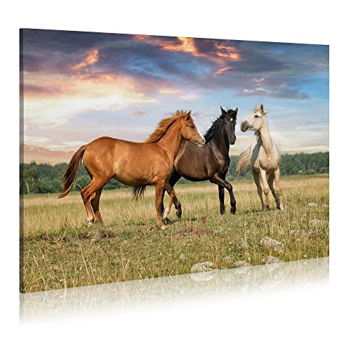 Animal Horses Wall Art Painting