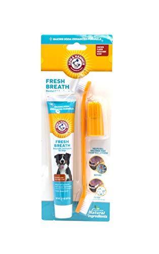 Arm & Hammer Fresh Breath Kit for Dogs