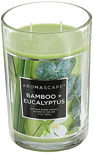 Aromascape 2-Wick Scented Jar Candle, Bamboo & Eucalyptus