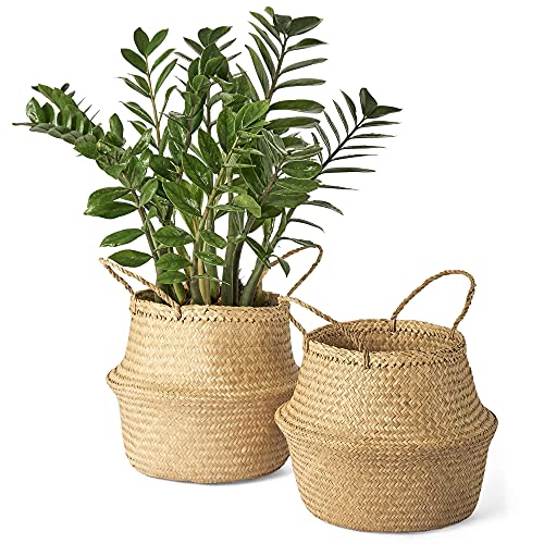 Artera Woven Seagrass Plant Basket - Eco-Friendly and Stylish