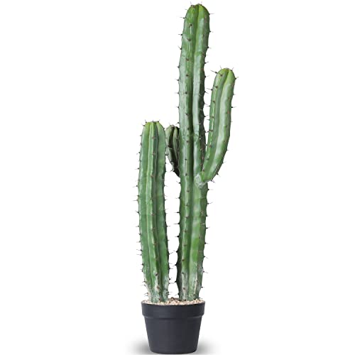 Artificial Cactus for Home and Office Decoration