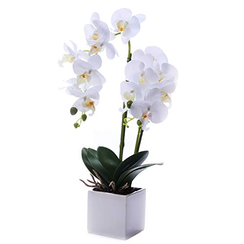 Artificial Orchids Flowers with Vase