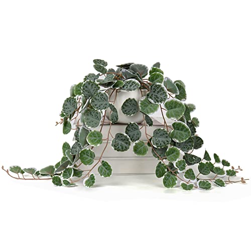 Artificial String of Hearts Plants with Ceramic Pot