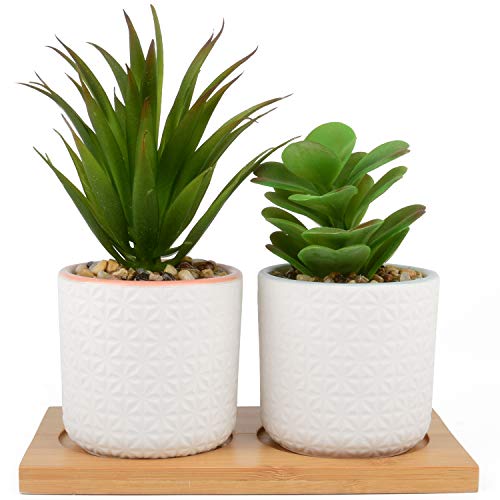 Artificial Succulent Plants with Ceramic Pots and Bamboo Tray