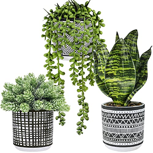 Artificial Succulents in Black Geometric Pots