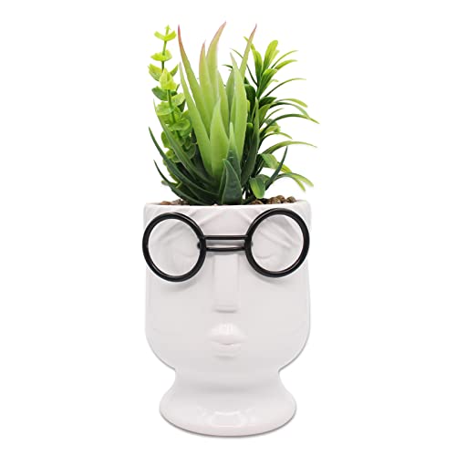 Artificial Succulents Plants with Ceramic Pot