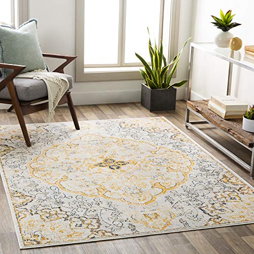 Artistic Weavers Lohena Vintage Medallion Area Rug