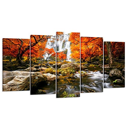 Autumn Forest Waterfalls Canvas Prints