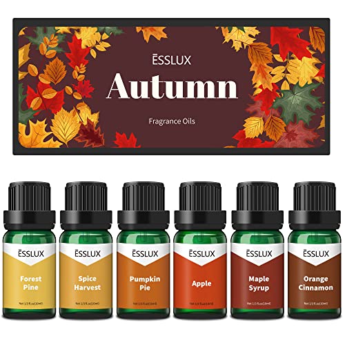 Autumn Scented Oils Gift Set
