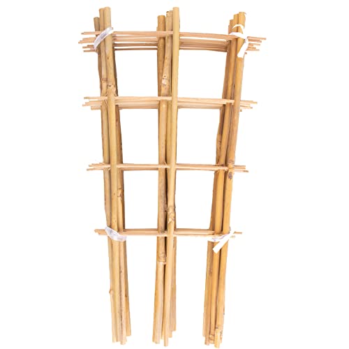 Avalution 10 Pack Bamboo Trellis