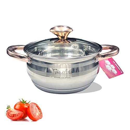 BAERFO 1.5 Quart Stock Pot