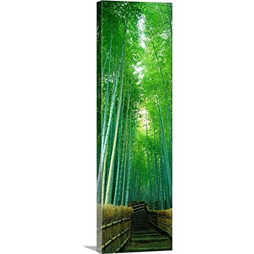 Bamboo Forest Kyoto Canvas Wall Art Print
