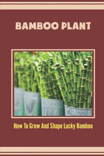 Bamboo Plant: How To Grow And Shape Lucky Bamboo