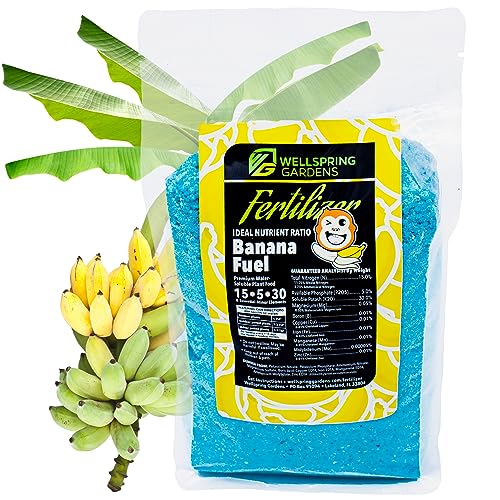 Banana Fuel Fertilizer - Grow Healthy and Happy Plants