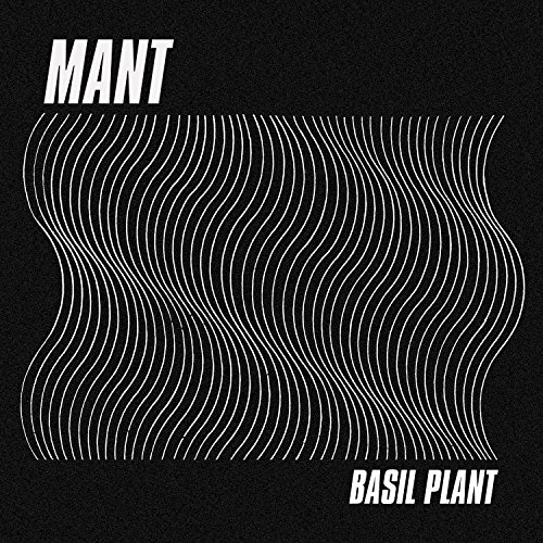 Basil Plant (Transcode Remix)