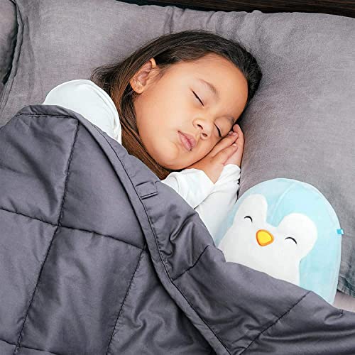 Bed Buddy Weighted Blanket for Kids