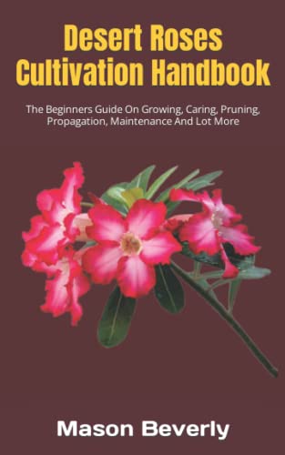 Beginner's Guide to Desert Rose Cultivation