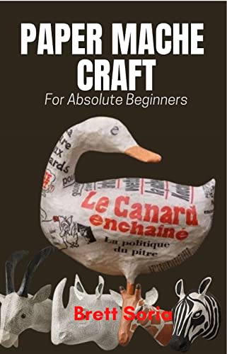 Beginner's Guide To Papier Mache Art Craft