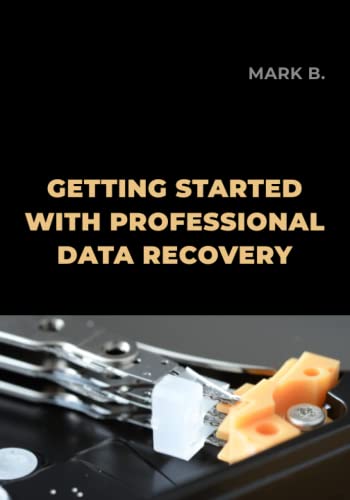 Beginner's Guide to Professional Data Recovery