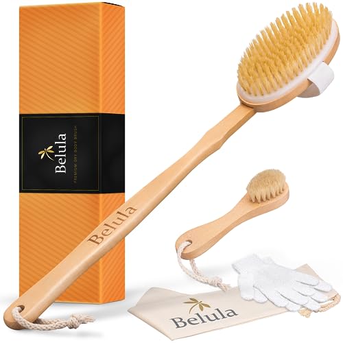 Belula Premium Dry Brushing Set