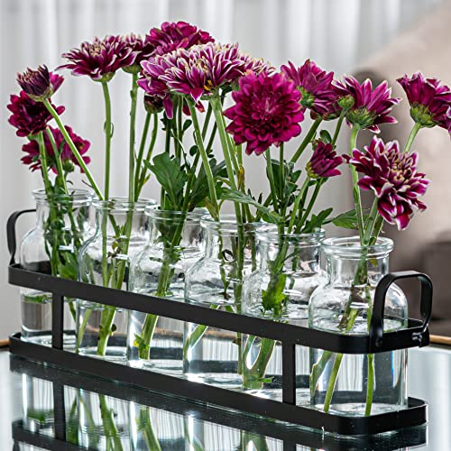 Best Vases for Flowers