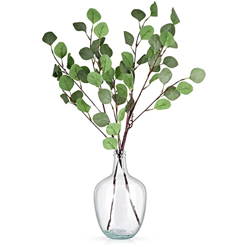 Bfttlity Clear Glass Vase for Home Decoration