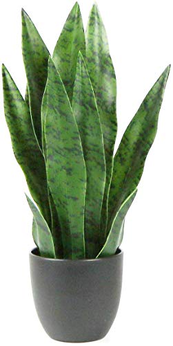 Bird Fiy Artificial Snake Plant