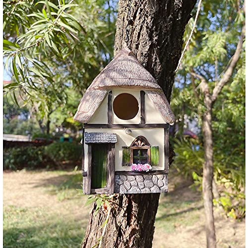 Bird House for Nature Lovers