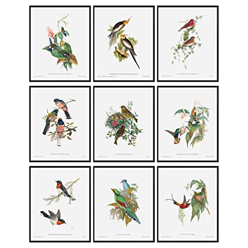 Bird Wall Decor - Hummingbird Wall Art