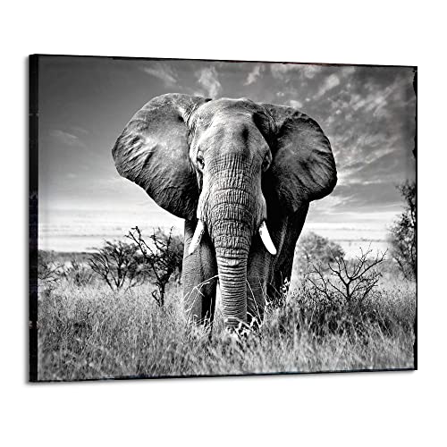 Black Elephant Canvas Wall Art