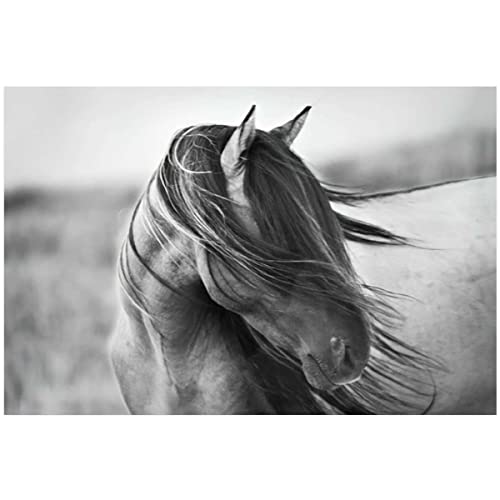 Black Horse Abstract Canvas Wall Art