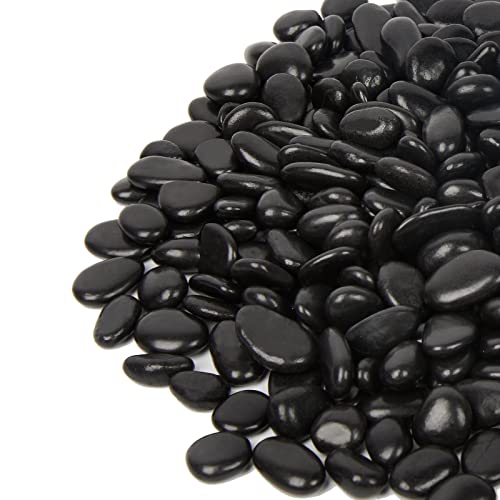 Black Pebbles for Indoor Plants