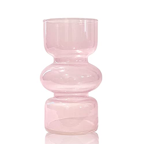 BLOFLO Pink Glass Hydroponic Vase